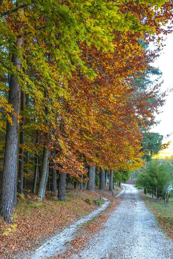Boticas Parque Natur Houses Екстериор снимка