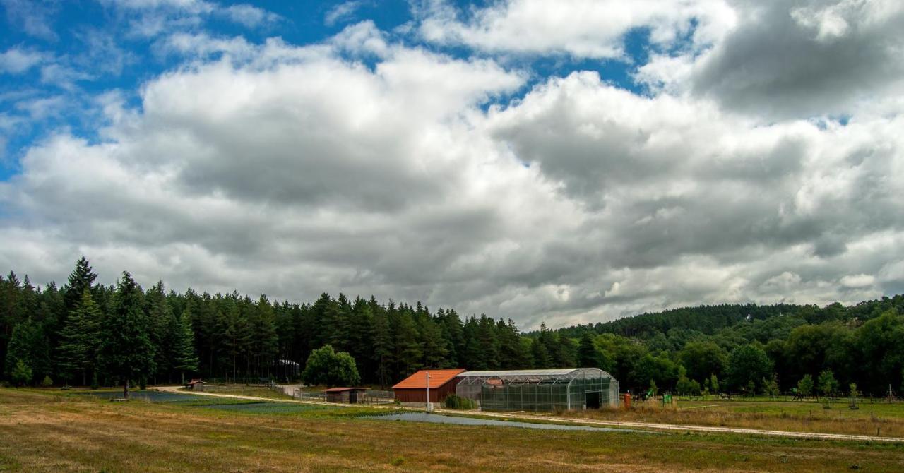 Boticas Parque Natur Houses Екстериор снимка