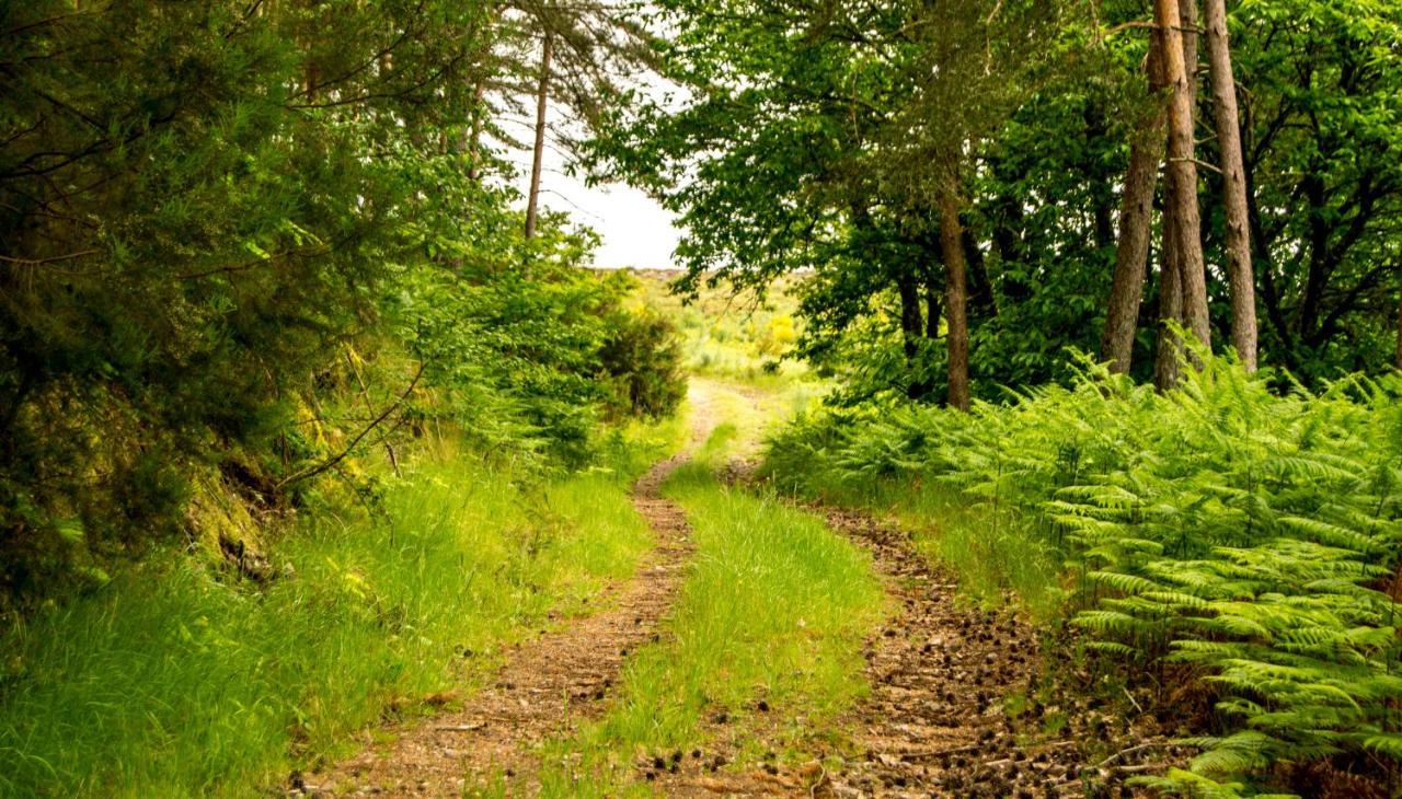Boticas Parque Natur Houses Екстериор снимка