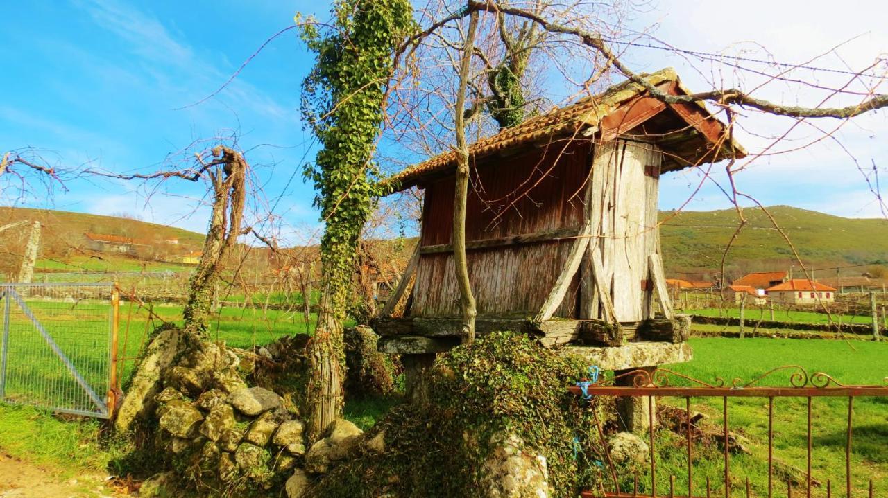 Boticas Parque Natur Houses Екстериор снимка